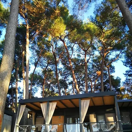 Campingplatz Mobile Erna,