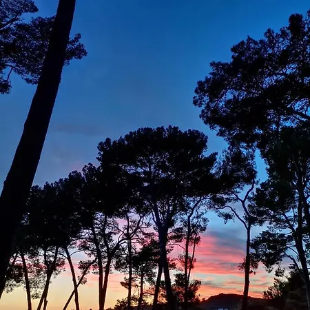 Mobile Erna, * Rovinj